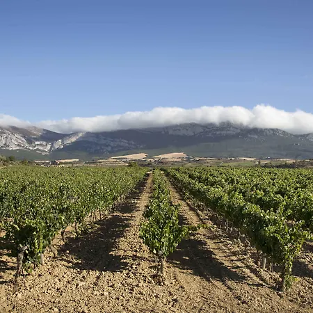 Eguren Ugarte Laguardia