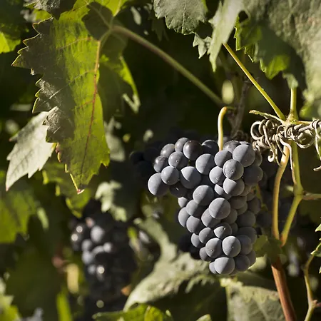 Eguren Ugarte Hotel *