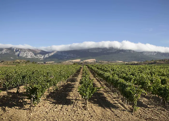 Eguren Ugarte La Guardia