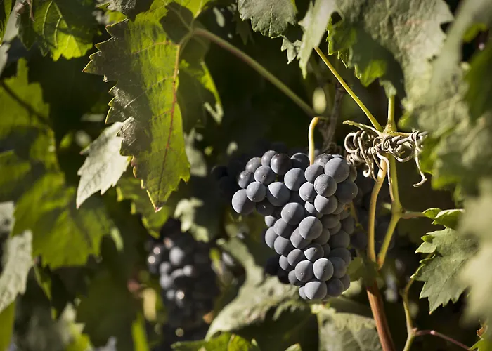 Eguren Ugarte Hotel *